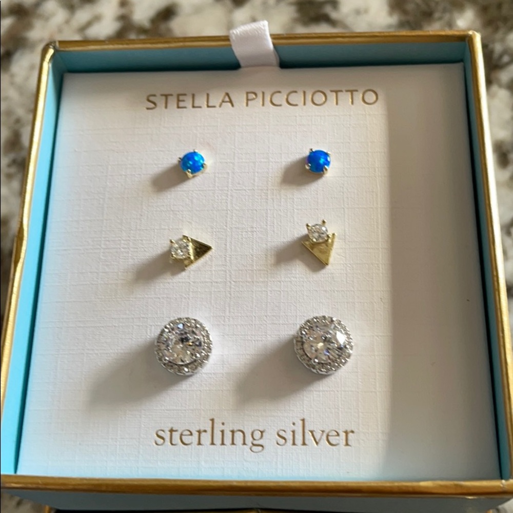 Sterling Silver Earnings